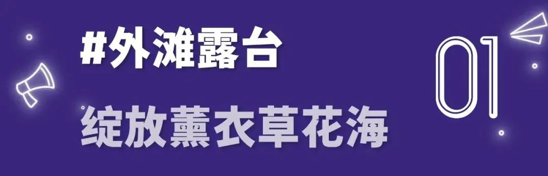 2024澳门历史记录查询