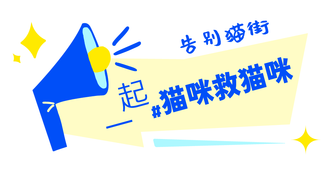 2024澳门历史记录查询