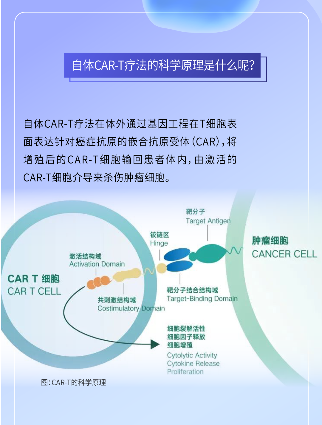 2024澳门历史记录查询